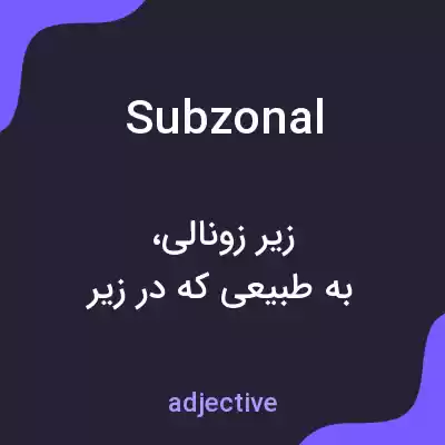 معنی subzonal به فارسی معنی subzonal به فارسی