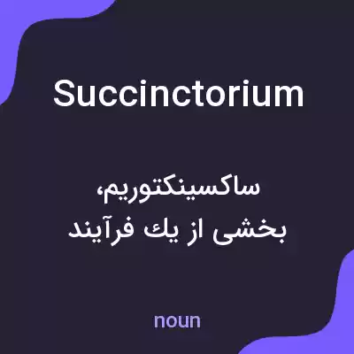 معنی succinctorium به فارسی