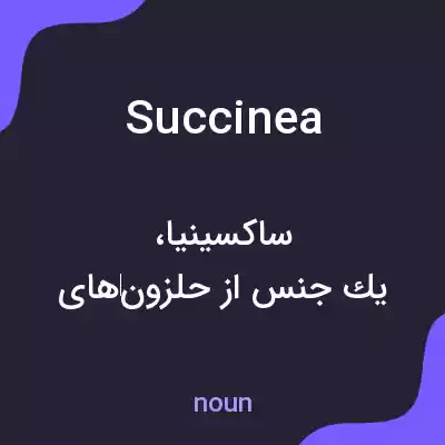 معنی succinea به فارسی معنی succinea به فارسی