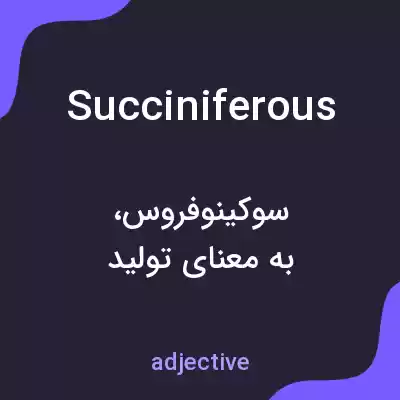 معنی succiniferous به فارسی