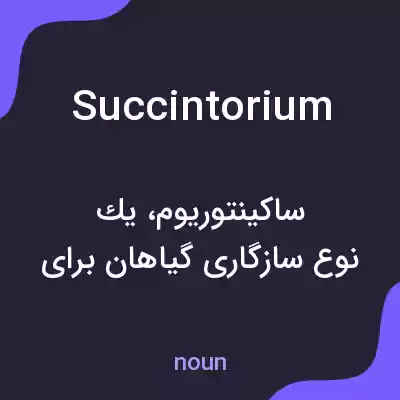 معنی succintorium به فارسی معنی succintorium به فارسی