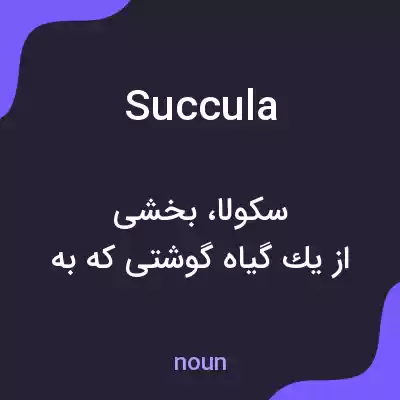 معنی succula به فارسی معنی succula به فارسی