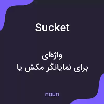 معنی sucket به فارسی معنی sucket به فارسی