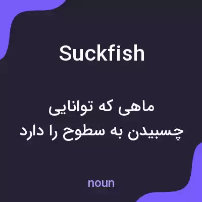 معنی suckfish به فارسی معنی suckfish به فارسی