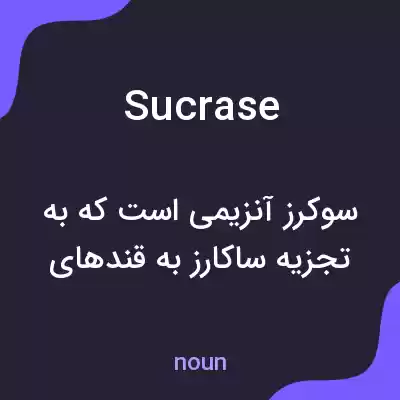 معنی sucrase به فارسی معنی sucrase به فارسی