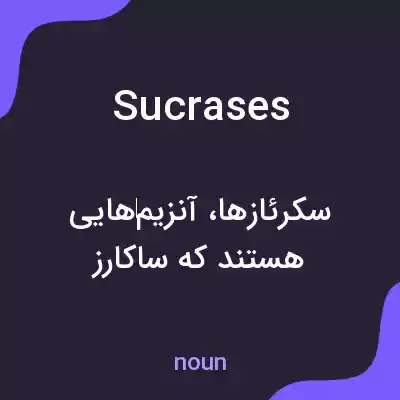 معنی sucrases به فارسی