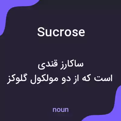 معنی sucrose به فارسی معنی sucrose به فارسی