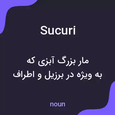 معنی sucuri به فارسی