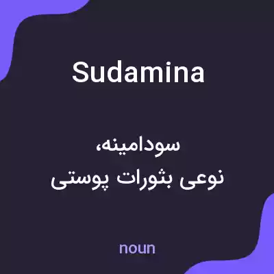 معنی sudamina به فارسی