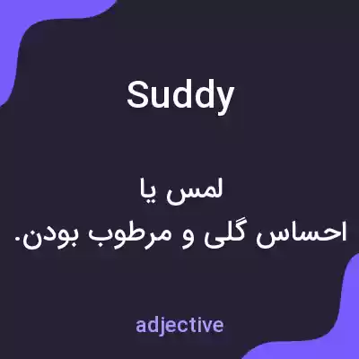 معنی suddy به فارسی معنی suddy به فارسی