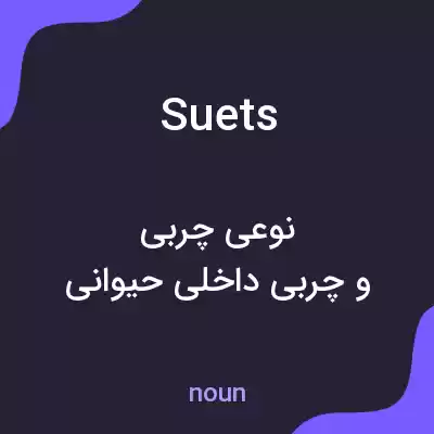 معنی suets به فارسی