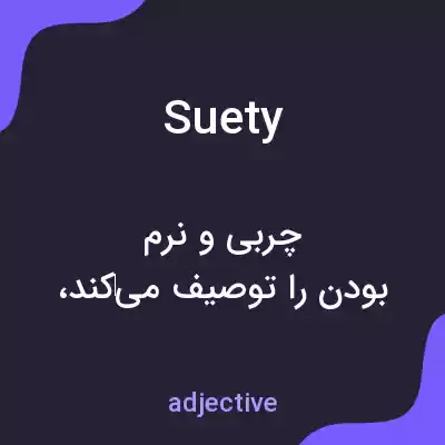 معنی suety به فارسی