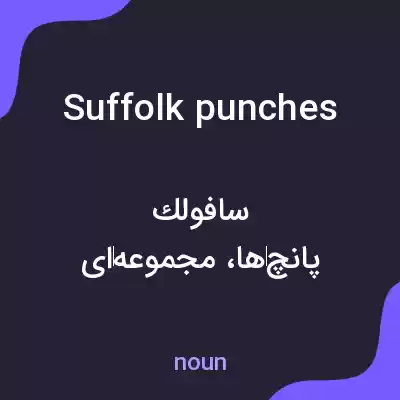 معنی suffolk punches به فارسی معنی suffolk punches به فارسی