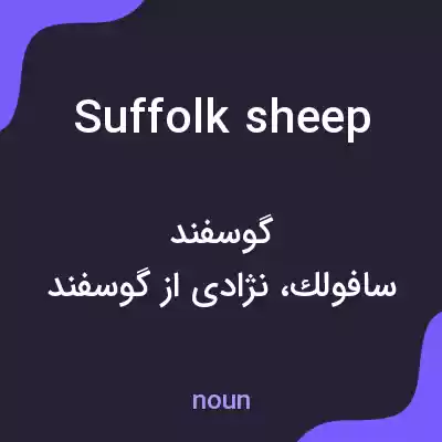 معنی suffolk sheep به فارسی معنی suffolk sheep به فارسی