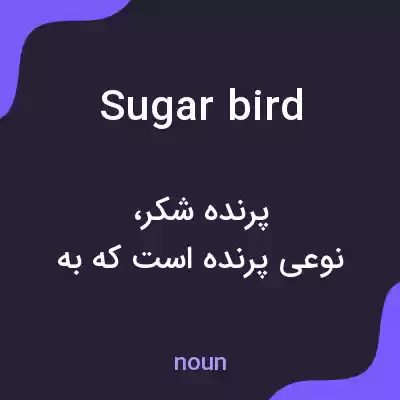 معنی sugarbird به فارسی