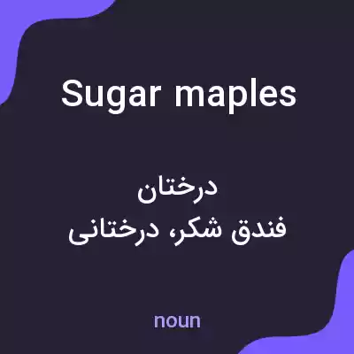معنی sugar maples به فارسی معنی sugar maples به فارسی
