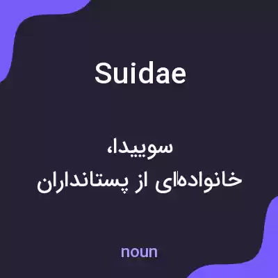 معنی suidae به فارسی معنی suidae به فارسی