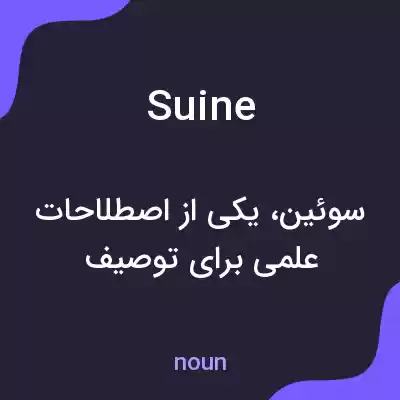 معنی suine به فارسی معنی suine به فارسی