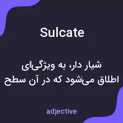 معنی sulcate به فارسی معنی sulcate به فارسی