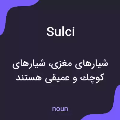 معنی sulci به فارسی معنی sulci به فارسی
