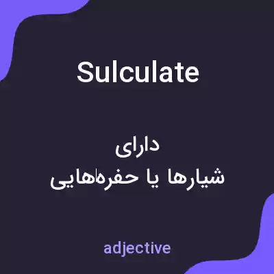 معنی sulculate به فارسی معنی sulculate به فارسی