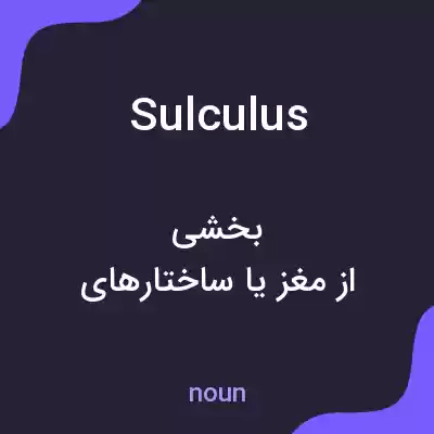 معنی sulculus به فارسی معنی sulculus به فارسی