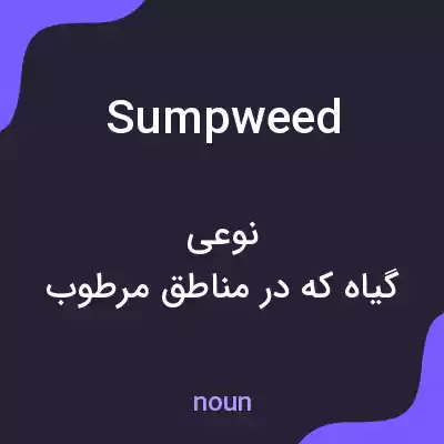 معنی sumpweed به فارسی معنی sumpweed به فارسی