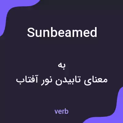 معنی sunbeamed به فارسی معنی sunbeamed به فارسی
