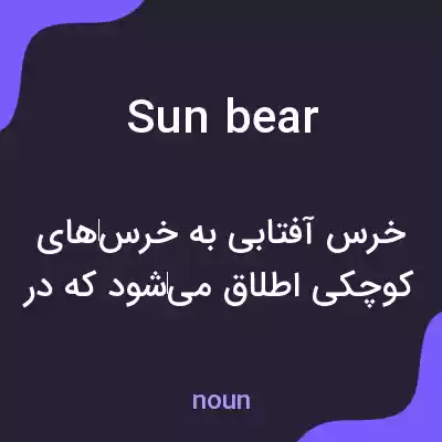 معنی sun bear به فارسی معنی sun bear به فارسی