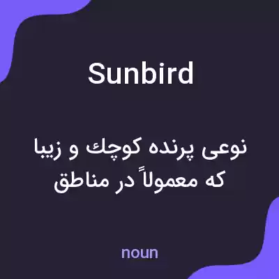 معنی sunbird به فارسی