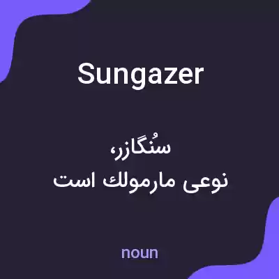 معنی sungazer به فارسی