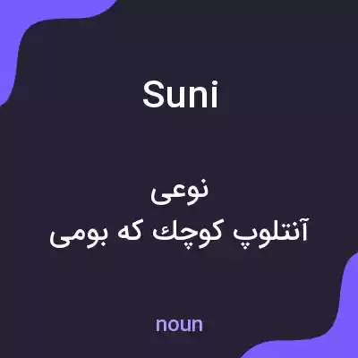 معنی suni به فارسی معنی suni به فارسی