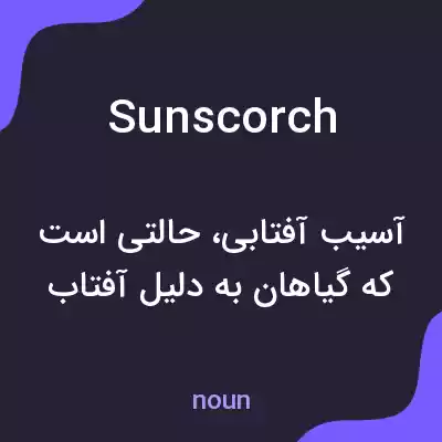 معنی sunscorch به فارسی معنی sunscorch به فارسی
