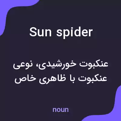 معنی sun spider به فارسی معنی sun spider به فارسی