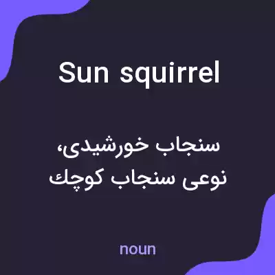 معنی sun squirrel به فارسی معنی sun squirrel به فارسی