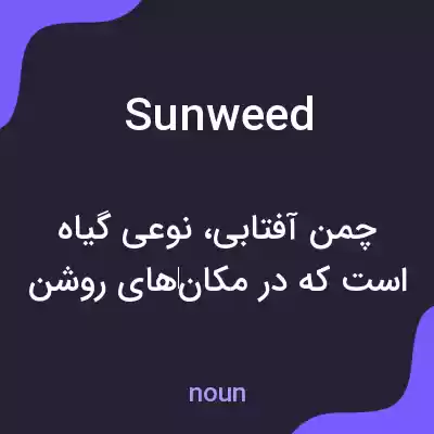 معنی sunweed به فارسی معنی sunweed به فارسی