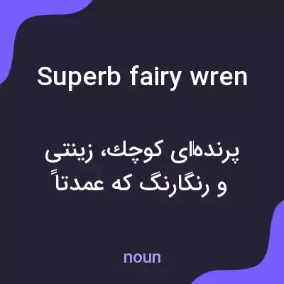 معنی superb fairy wren به فارسی معنی superb fairy wren به فارسی