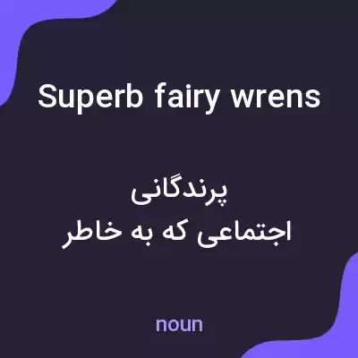 معنی superb fairy wrens به فارسی معنی superb fairy wrens به فارسی