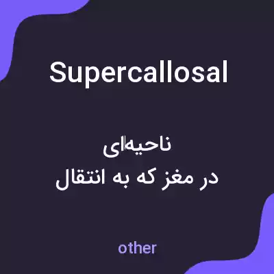 معنی supercallosal به فارسی معنی supercallosal به فارسی