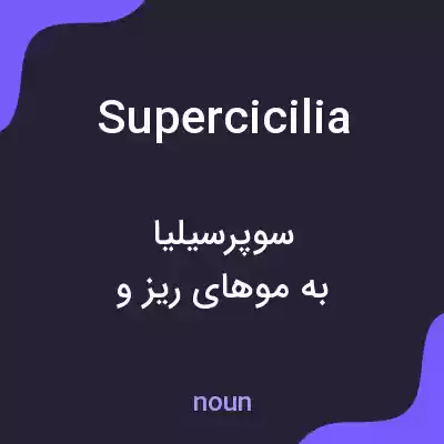 معنی supercicilia به فارسی معنی supercicilia به فارسی