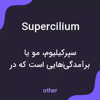 معنی supercilium به فارسی معنی supercilium به فارسی