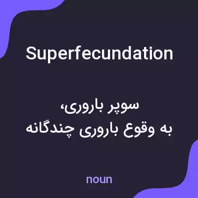 معنی superfecundation به فارسی