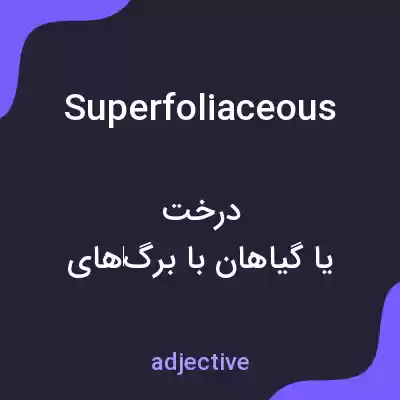 معنی superfoliaceous به فارسی معنی superfoliaceous به فارسی