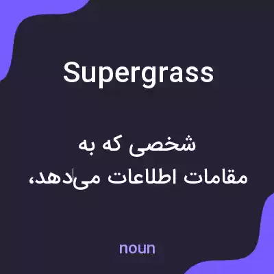 معنی supergrass به فارسی