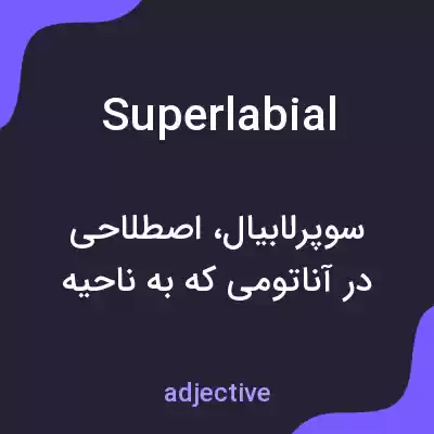 معنی superlabial به فارسی