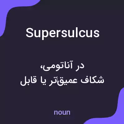 معنی supersulcus به فارسی