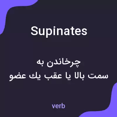 معنی supinates به فارسی معنی supinates به فارسی