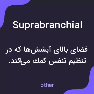 معنی suprabranchial به فارسی معنی suprabranchial به فارسی