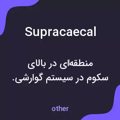معنی supracaecal به فارسی معنی supracaecal به فارسی