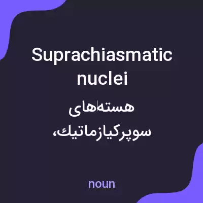 معنی suprachiasmatic nuclei به فارسی معنی suprachiasmatic nuclei به فارسی